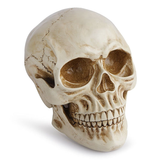 Life Size Human Skull Model 1:1 - Realistic, Halloween Human Skull Replica Model | Resin Human Skull Head Decoration Props-0